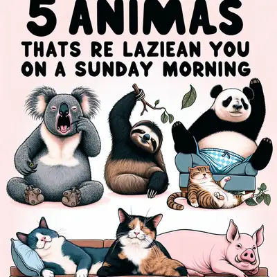 5 Animals That Are Lazier Than You On A Sunday Morning